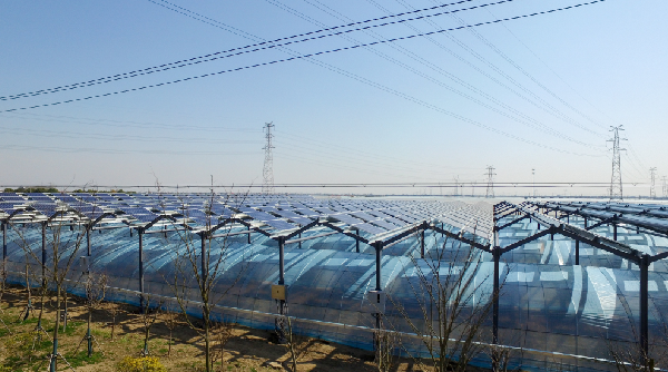 龙八- long8(国际)唯一官方网站