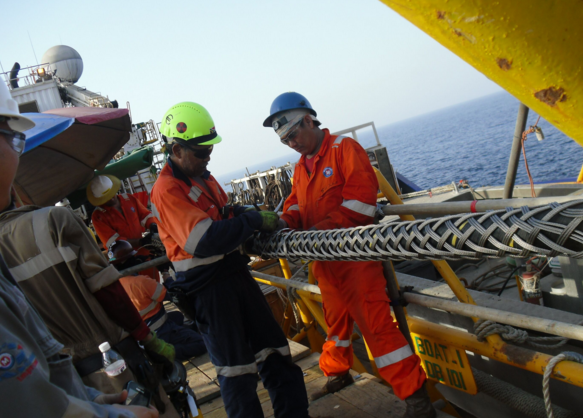 龙八- long8(国际)唯一官方网站