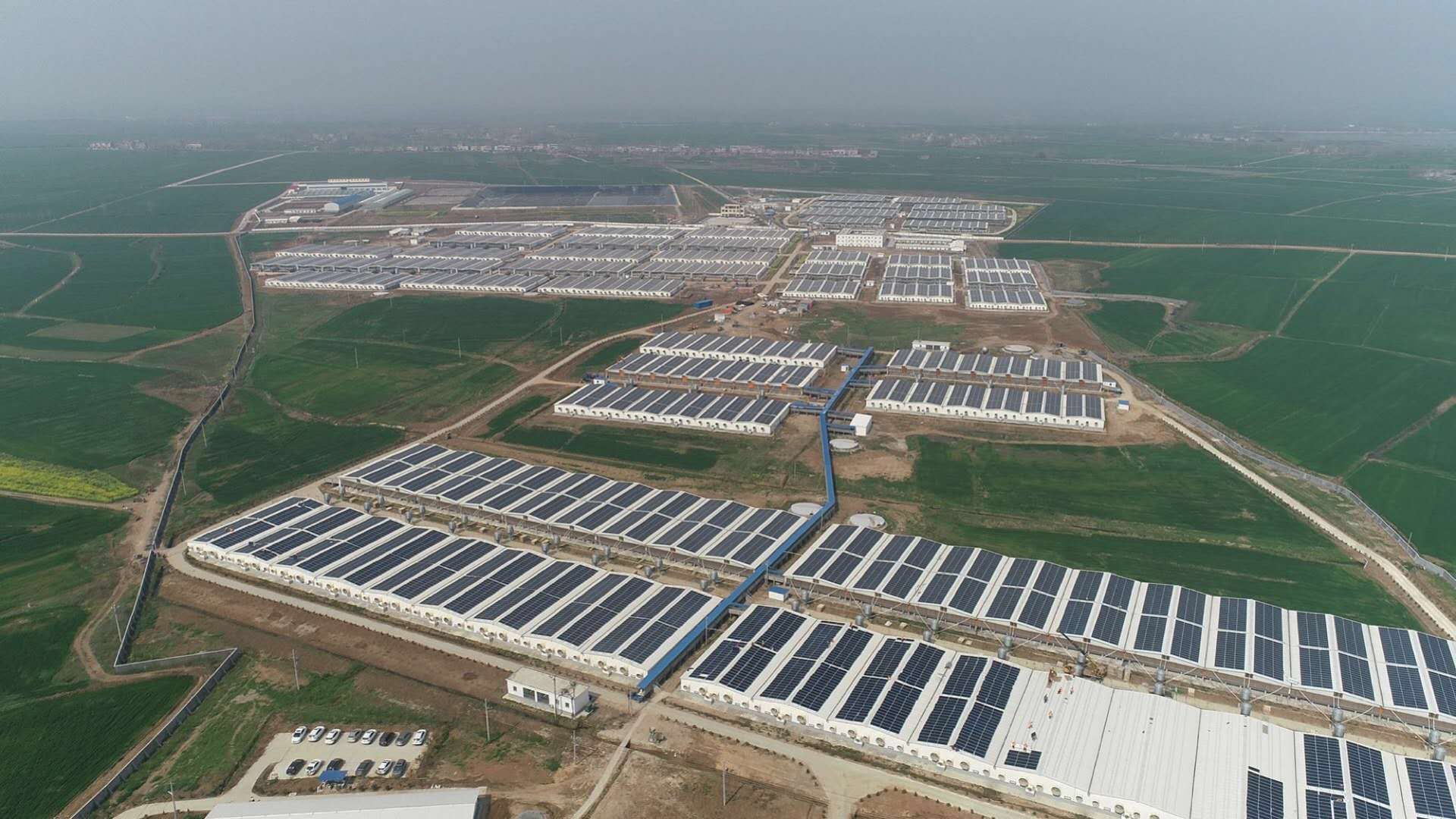 龙八- long8(国际)唯一官方网站