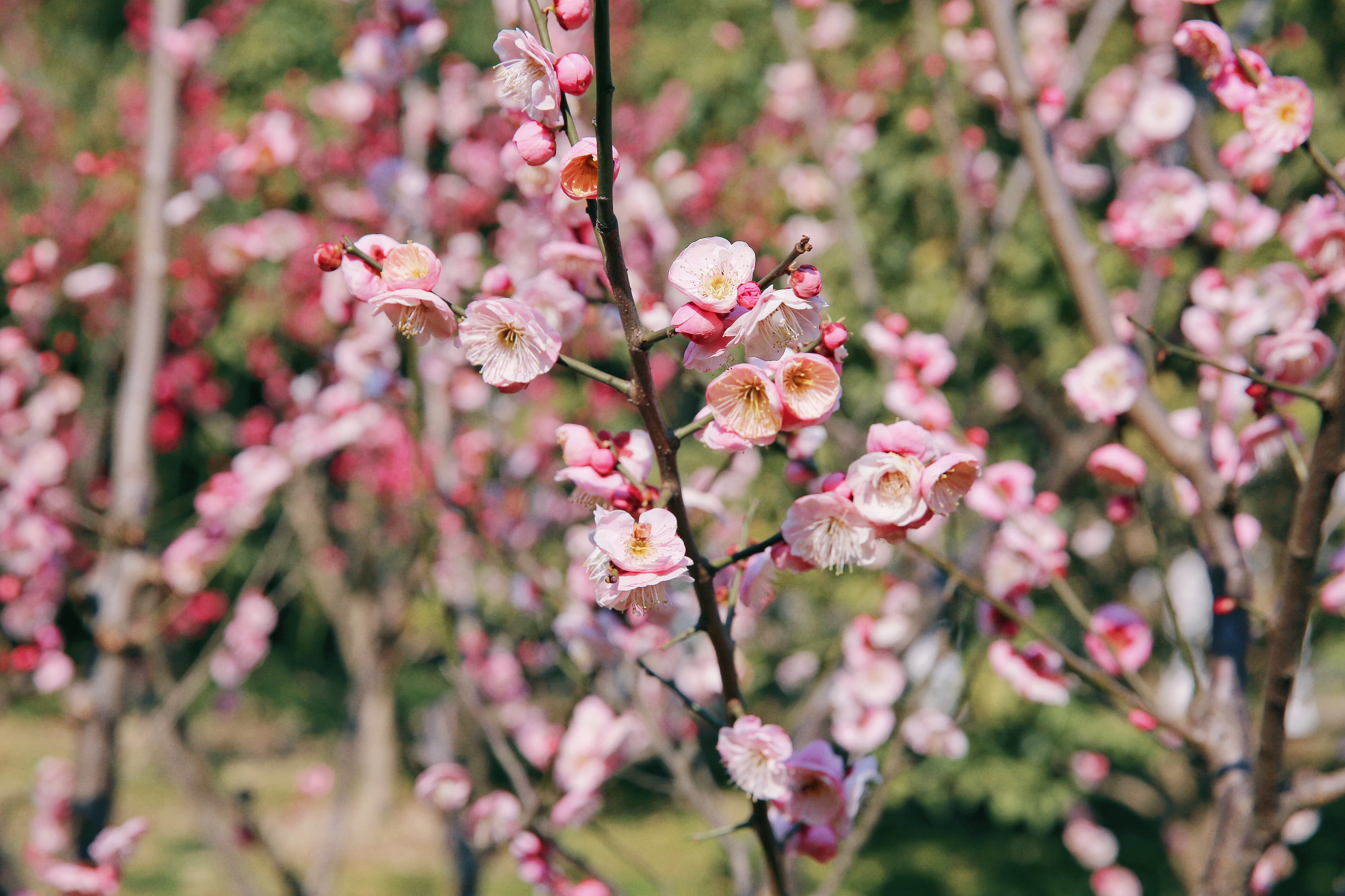 龙八- long8(国际)唯一官方网站