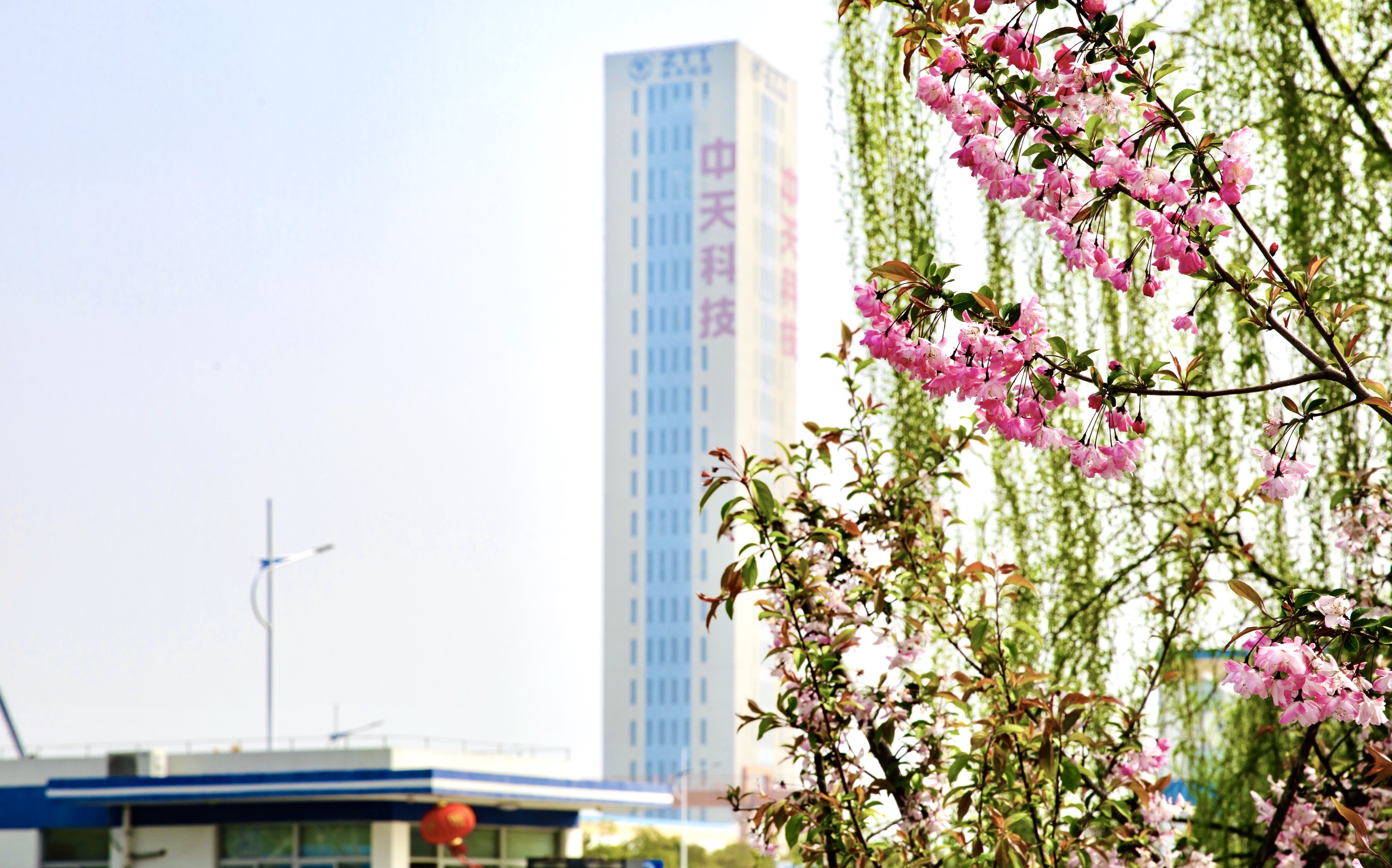 龙八- long8(国际)唯一官方网站