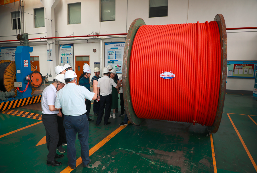 龙八- long8(国际)唯一官方网站